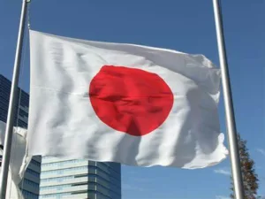 Economic Insights - Japan's National Debt Landscape in 2024