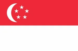 Visualization depicting Singapore's debt metrics in 2024"