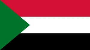 Analysis of Sudan's National Debt Situation in 2024: Graphical Representation